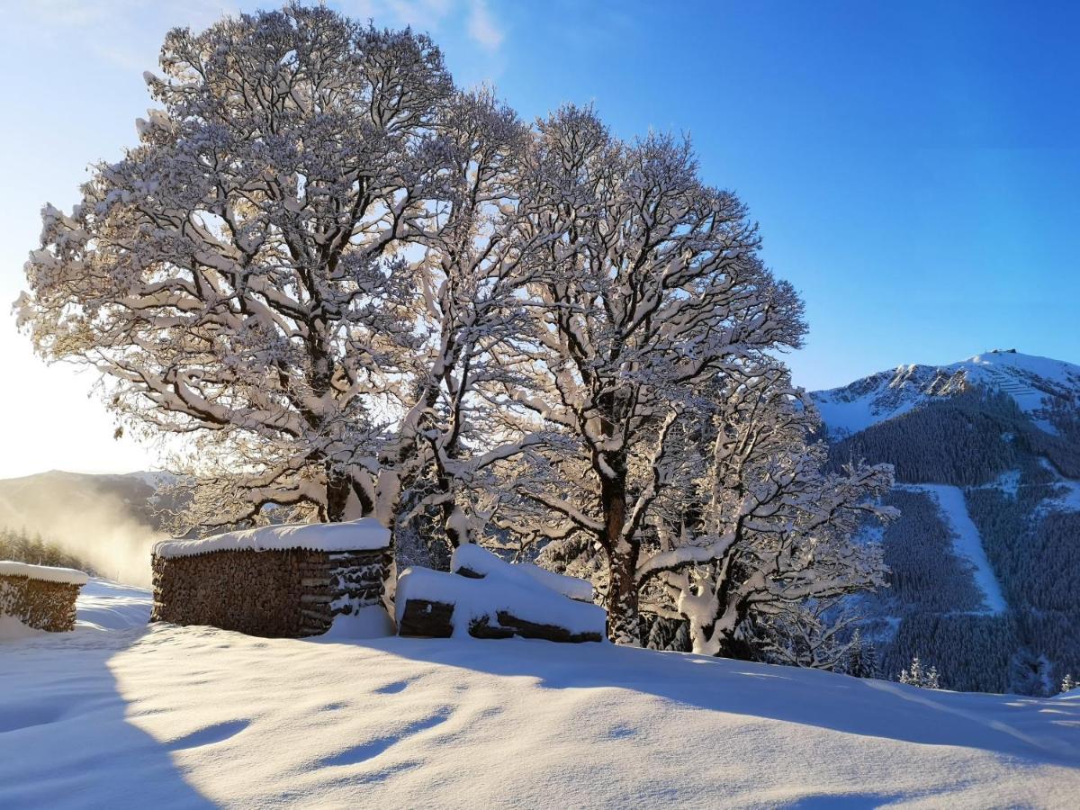 Sinnlehen Alm Зальбах-Хинтерглемм Экстерьер фото