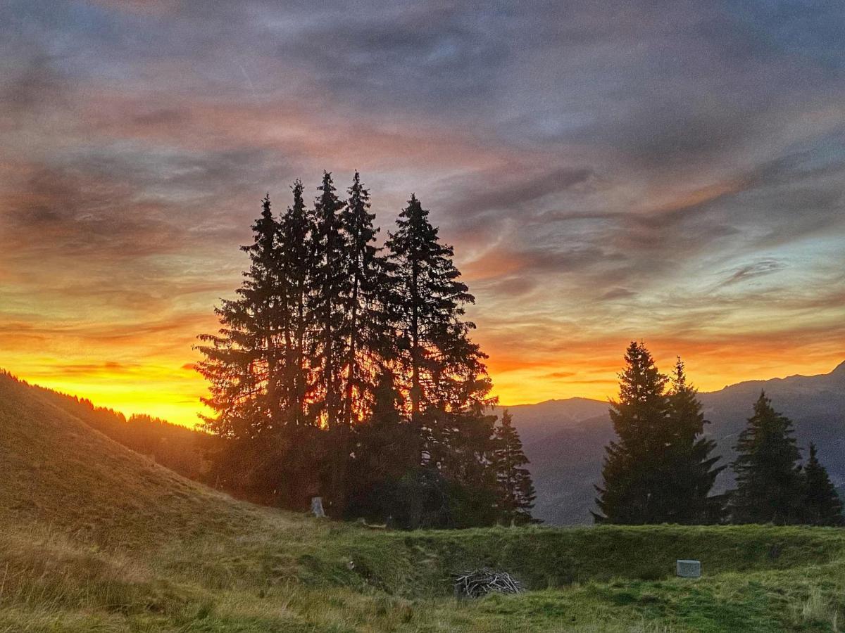 Sinnlehen Alm Зальбах-Хинтерглемм Экстерьер фото